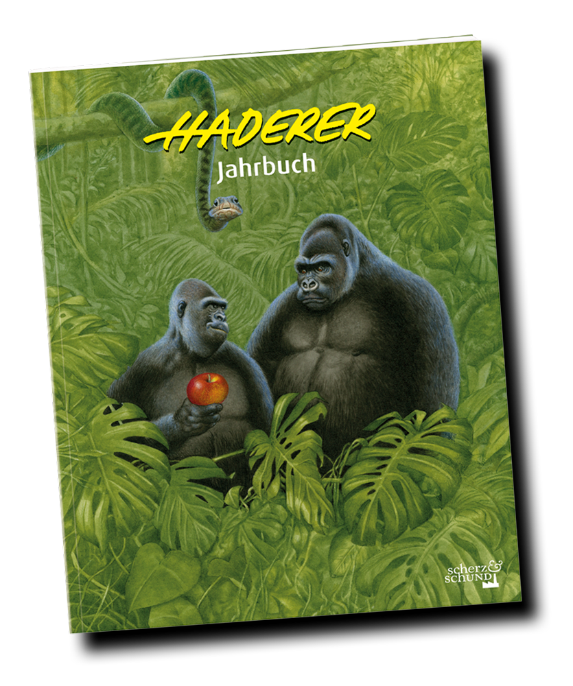 Haderer Jahrbuch 16